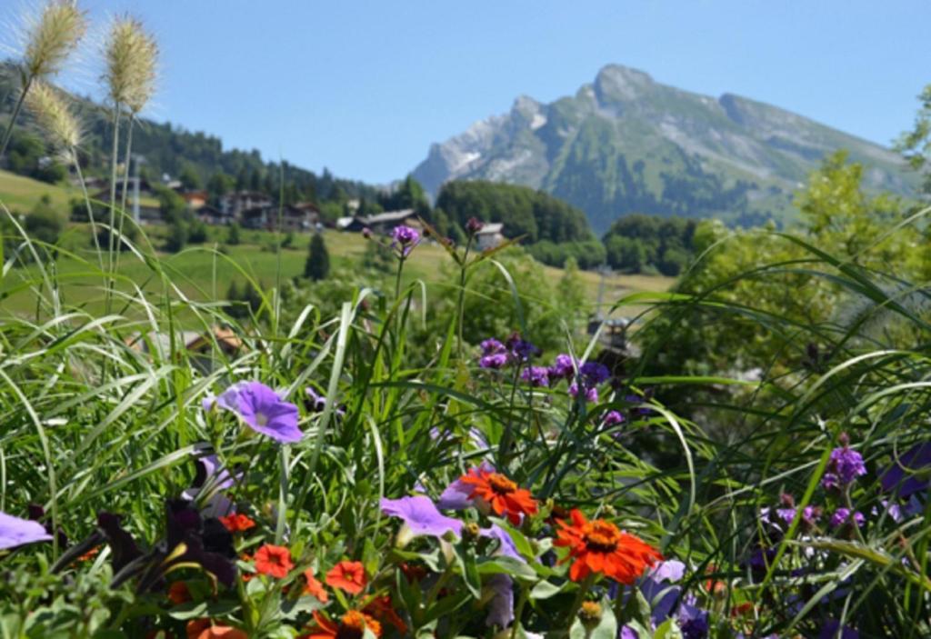 Location d'appartements - La Résidence La Clusaz Extérieur photo