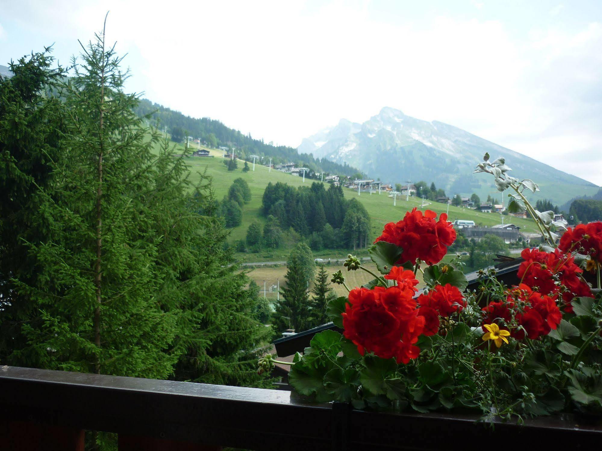 Location d'appartements - La Résidence La Clusaz Extérieur photo